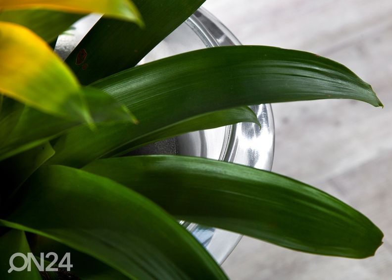 Ваза Goal увеличить