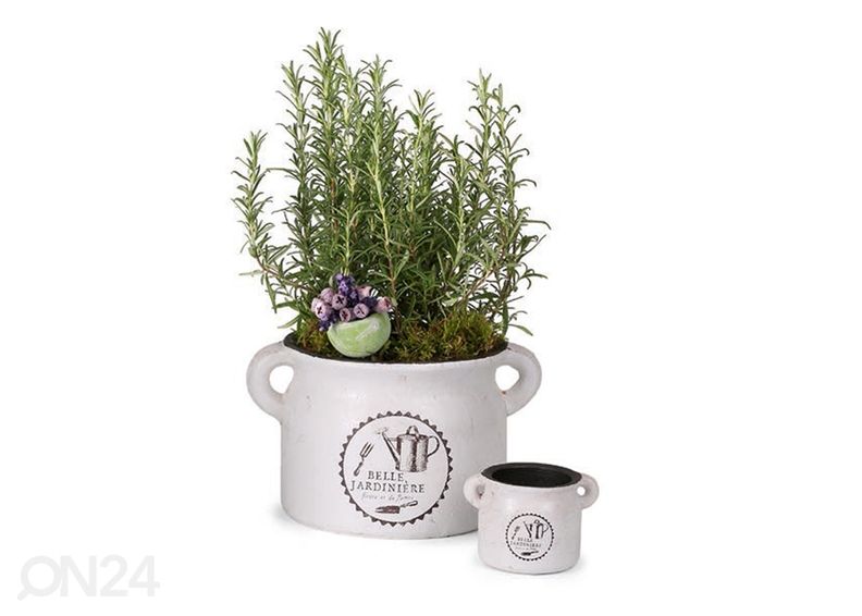 Горшок для пряностей Belle Jardiniere 15,5 cm увеличить
