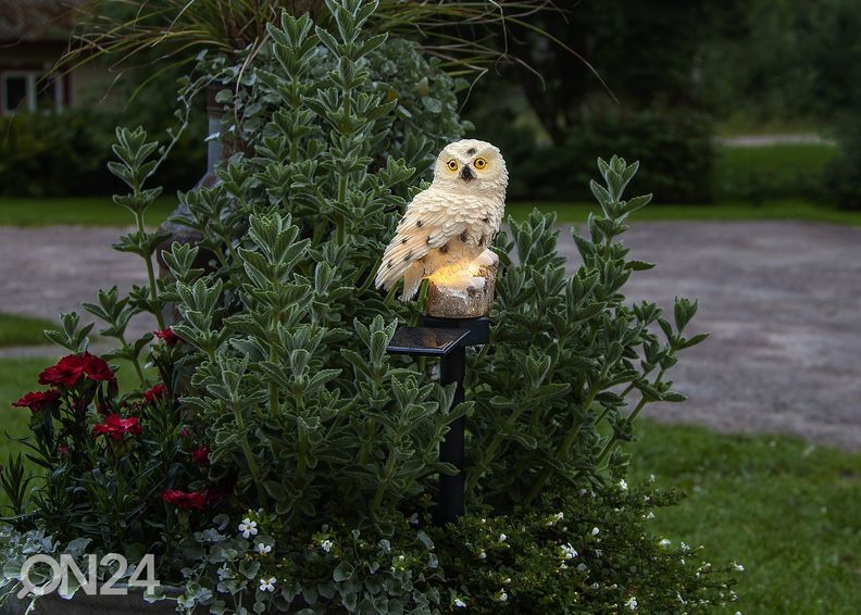 Декорация с солнечной панелью Owl увеличить