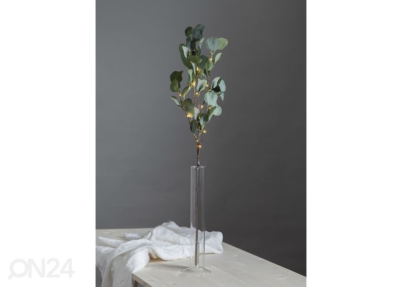 Декорация эвкалипт увеличить