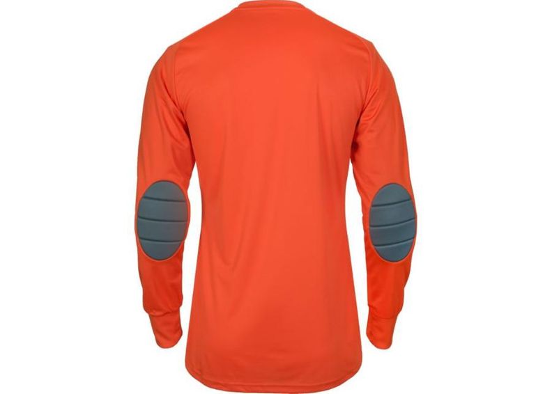 Детская вратарская футболка adidas Assita 17 Junior AZ5398 увеличить