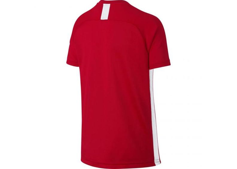 Детская спортивная футболка Nike B Dry Academy SS Junior AO0739-657 увеличить