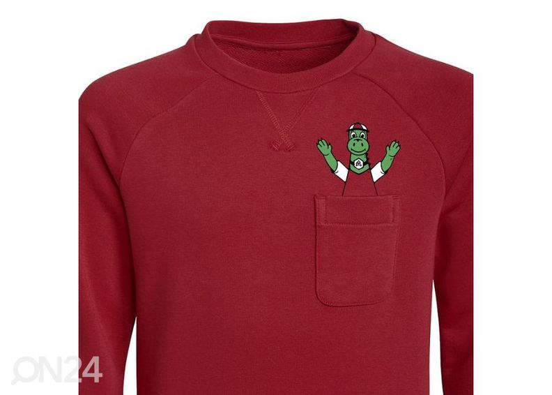 Детская толстовка Adidas Arsenal FC Crew Sweat увеличить