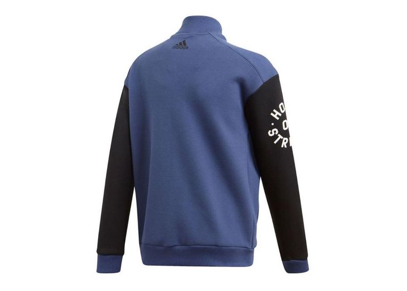 Детская толстовка Adidas Collegiate Jr FL2808 увеличить