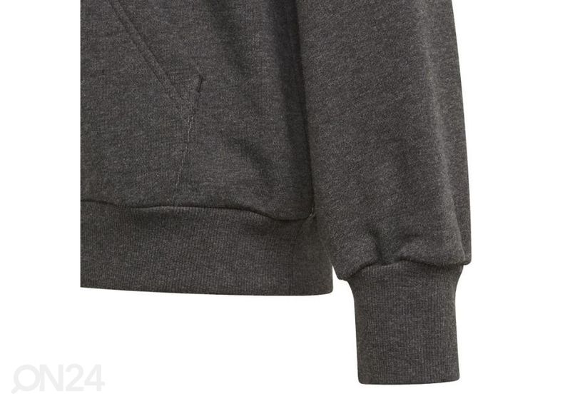 Детская толстовка Adidas Girls Bos Hoodie увеличить