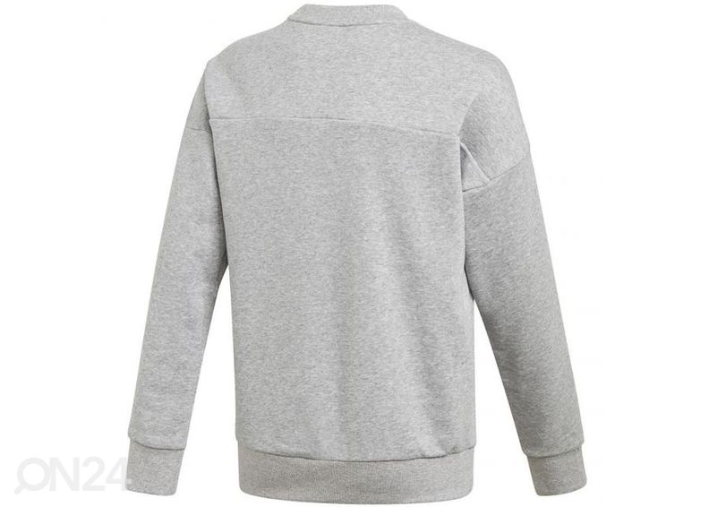 Детская толстовка Adidas Jg Mh Crew Junior GK3237 увеличить