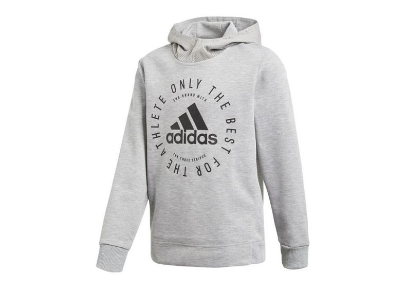 Детская толстовка adidas Sport ID HD Junior DV1701 увеличить