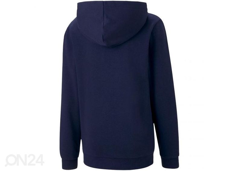 Детская толстовка Puma teamGOAL 23 Casuals увеличить