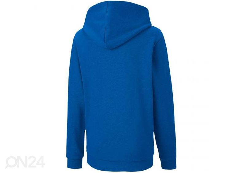 Детская толстовка Puma teamGOAL 23 Casuals увеличить