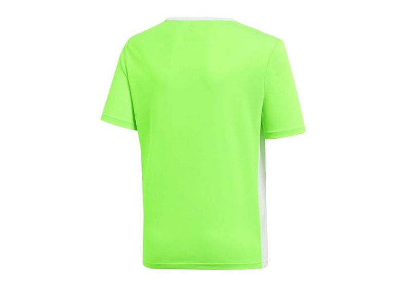 Детская футболка adidas Entrada 18 Jr CE9755 увеличить
