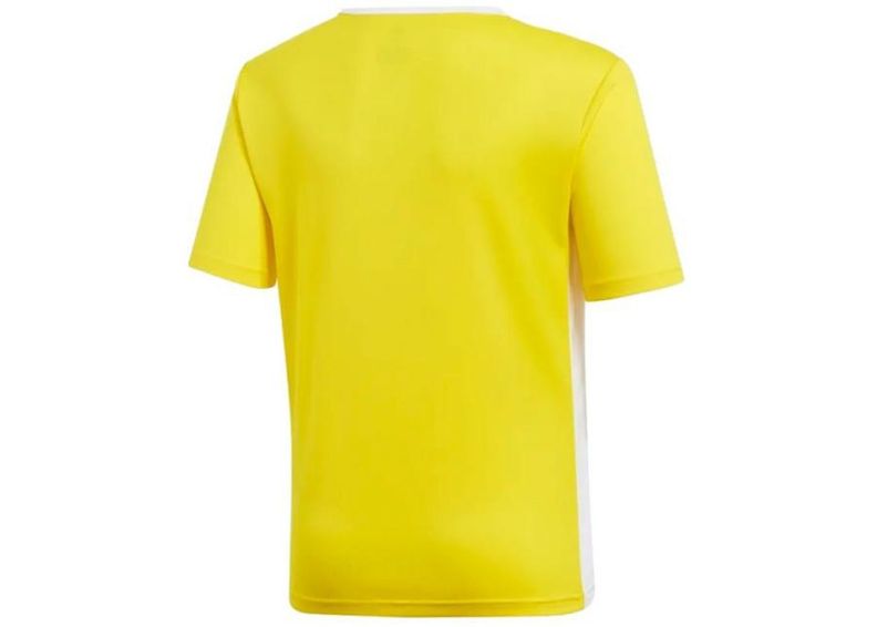 Детская футболка Adidas Entrada 18 Jsyy Jr CF1039 увеличить