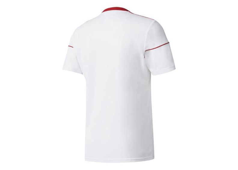 Детская футболка adidas Squadra 17 Junior BJ9181 увеличить