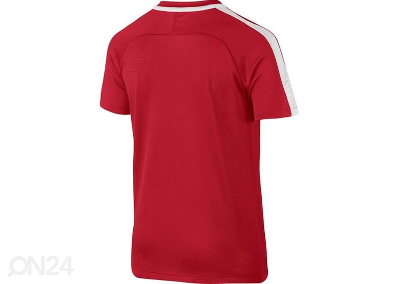 Детская футболка Nike Dry Academy 17 Junior 832969-657 увеличить