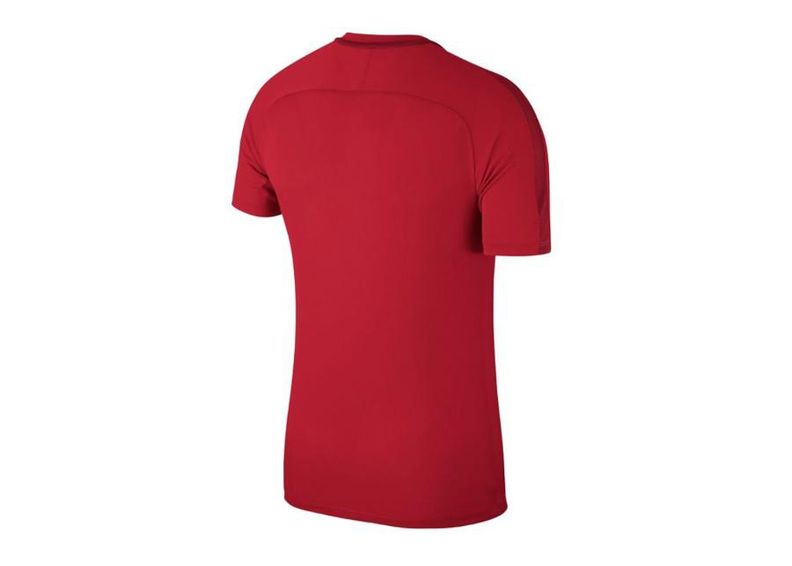 Детская футболка Nike JR Academy 18 Jr 893750-657 увеличить