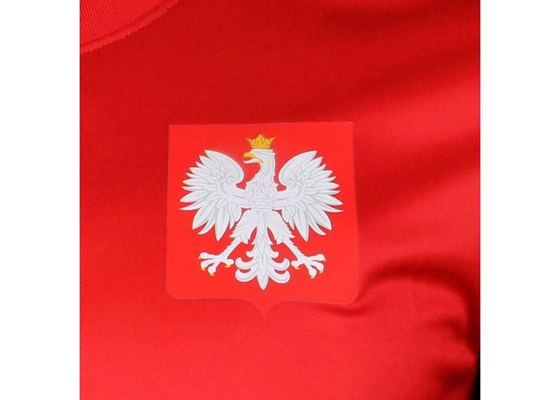 Детская футболка Nike Polska Youth Away Supporters Tee Junior 846807-611 увеличить
