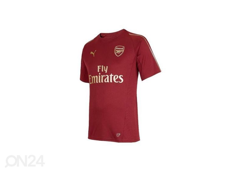 Детская футболка Puma Arsenal FC Training Tee Junior 753267 03 увеличить