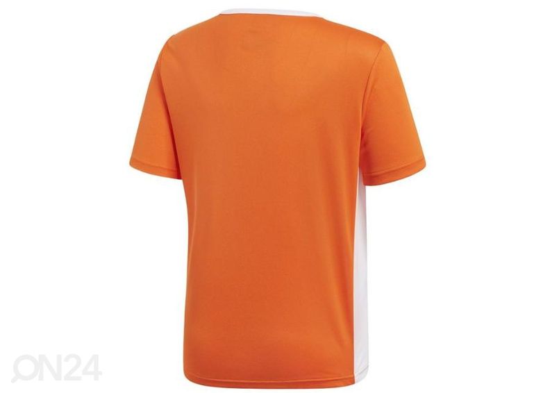 Детская футбольная рубашка Adidas Entrada 18 JSY Y Jr CF1043 увеличить