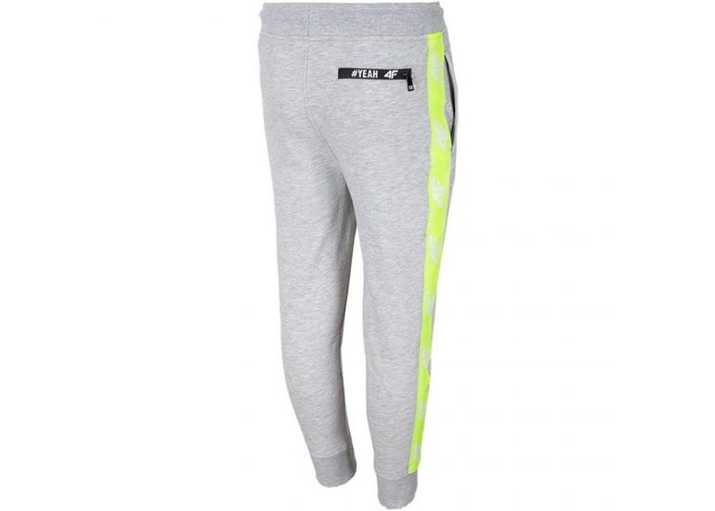Детские спортивные штаны 4F Jr HJL20 JSPMD002 25M увеличить