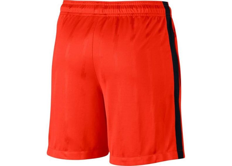 Детские футбольные шорты Nike Dry Squad Jacquard Junior 870121-852 увеличить