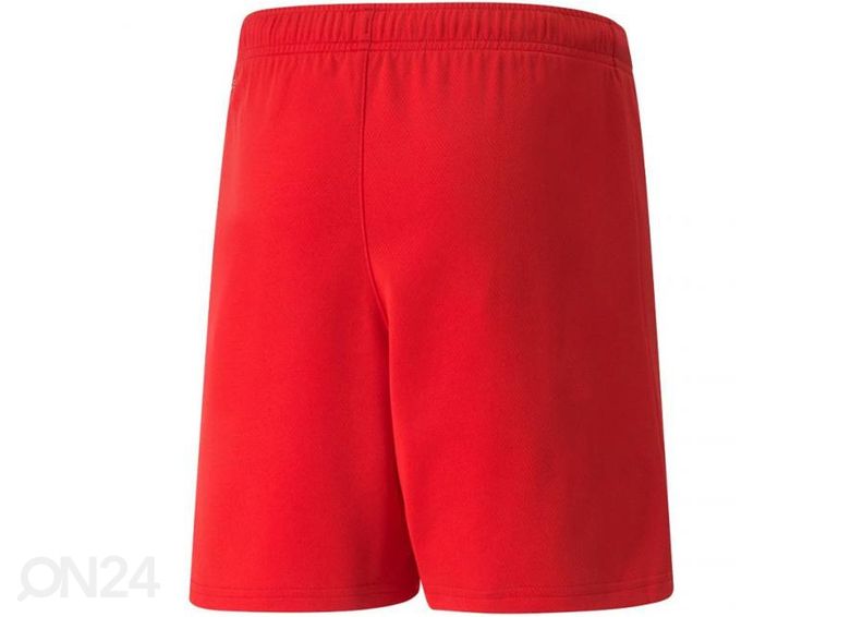 Детские футбольные шорты Puma teamRISE Short увеличить