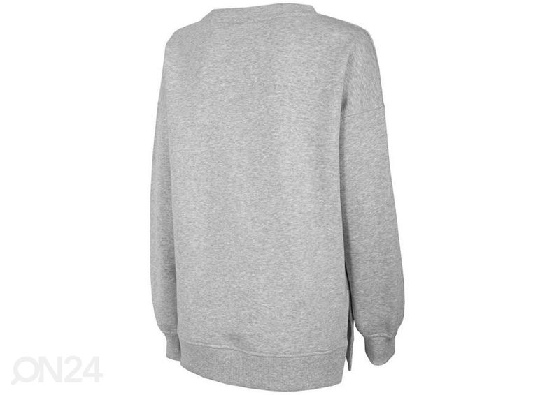 Женская толстовка 4F W H4Z20-BLD011 27M увеличить