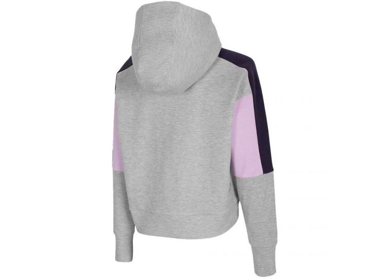 Женская толстовка Outhorn W HOL20 BLD604 27M увеличить