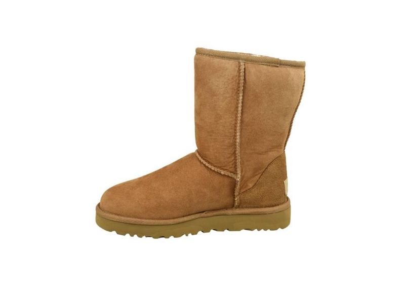 Женские зимние сапоги UGG Classic Short II W увеличить