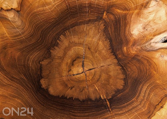 Журнальный стол Root увеличить