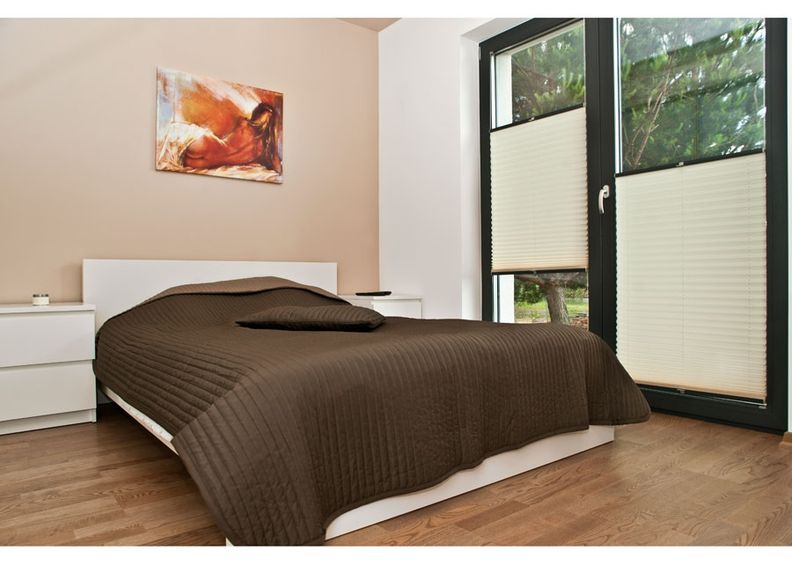 Затемняющие плиссированные жалюзи 50-60x120 см увеличить