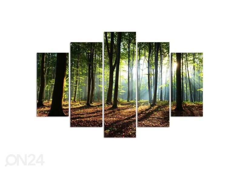 Картина из 5-частей Rays of the sun in the forest 100x70 см увеличить