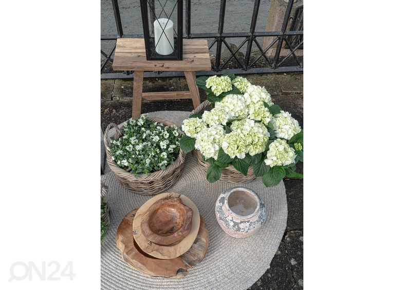 Ковер Ibiza Ø120 cm увеличить