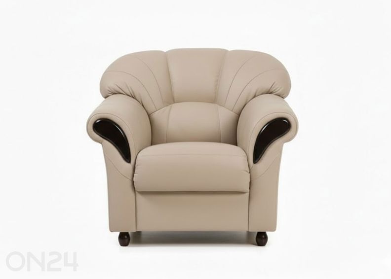 Кожаное кресло Rosa увеличить