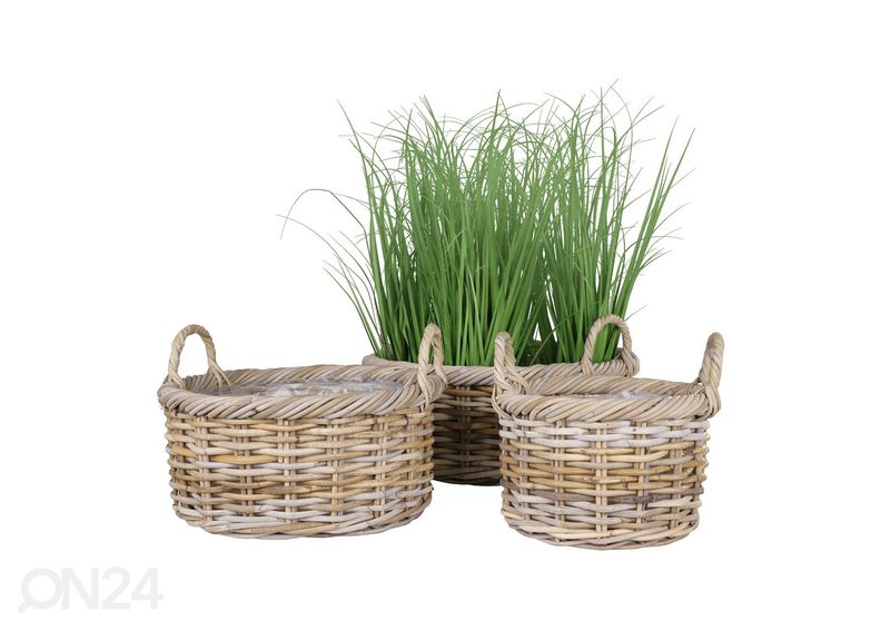 Корзины / ящики для цветов Bạc Liêu 3 шт увеличить