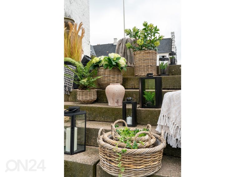 Корзины / ящики для цветов Bạc Liêu 3 шт увеличить