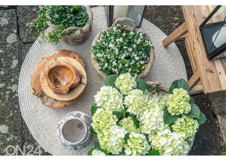 Корзины / ящики для цветов Bạc Liêu 3 шт увеличить