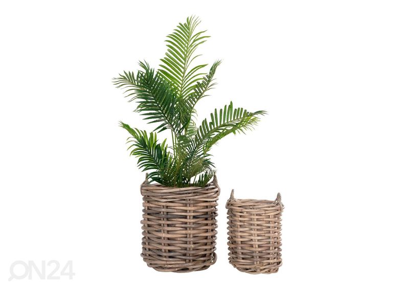 Корзины / ящики для цветов Cần Thơ 2 шт увеличить