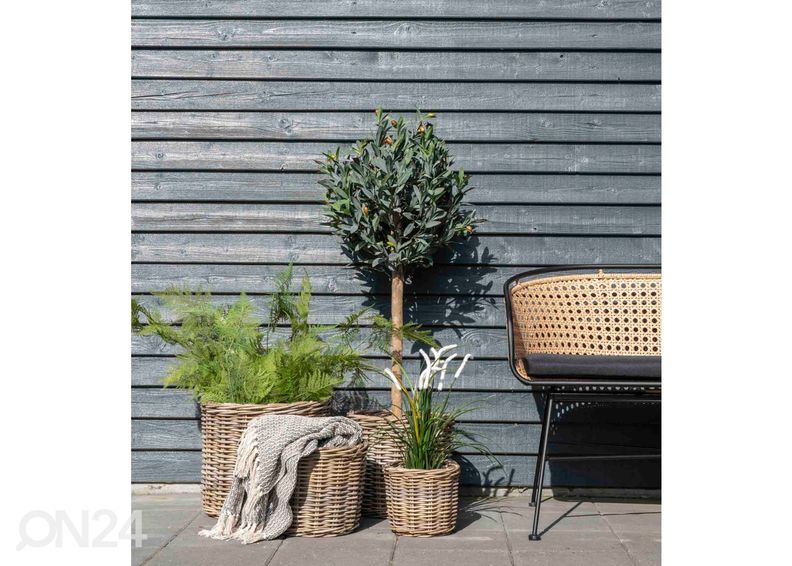 Корзины / ящики для цветов Nam Định 4 шт увеличить