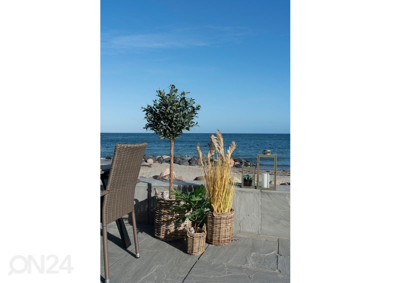 Корзины / ящики для цветов Sema 3 шт увеличить