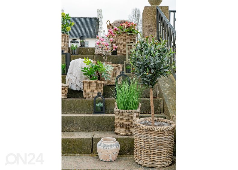 Корзины / ящики для цветов Vũng Tàu 2 шт увеличить