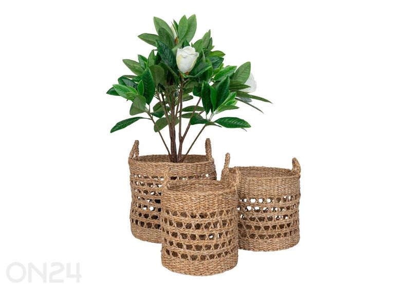 Корзины Balok увеличить