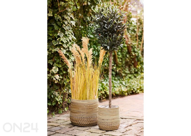 Корзины Moro увеличить