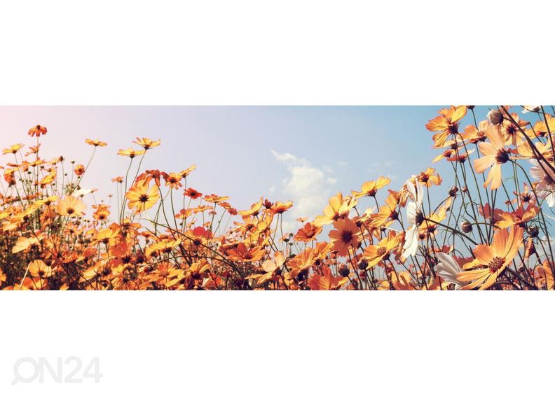 Кухонный фартук Beautiful cosmos flower 180x60 см увеличить