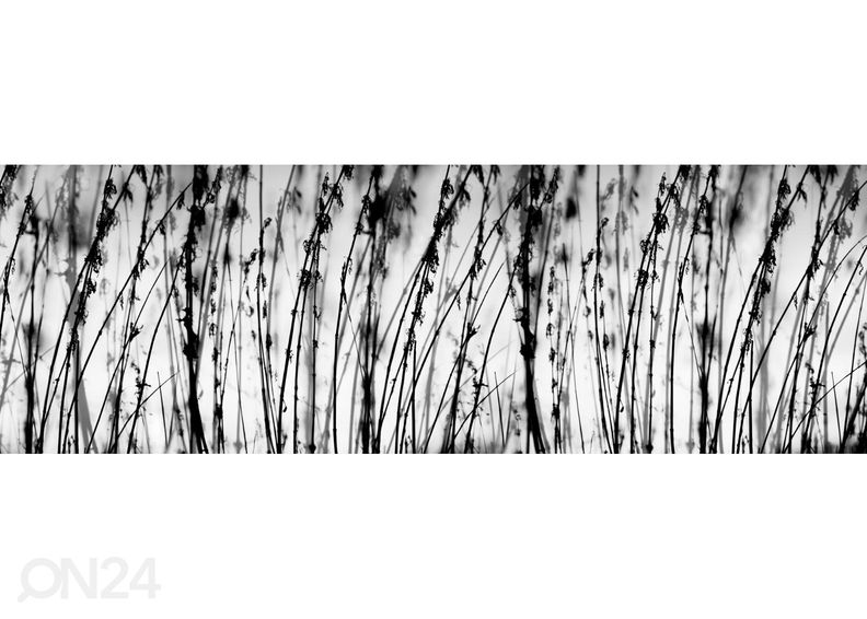Кухонный фартук Black and white grass 180x60 см увеличить