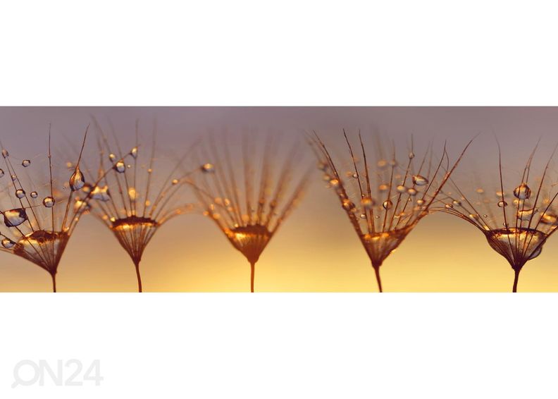 Кухонный фартук Drops on dandelion 180x60 см увеличить