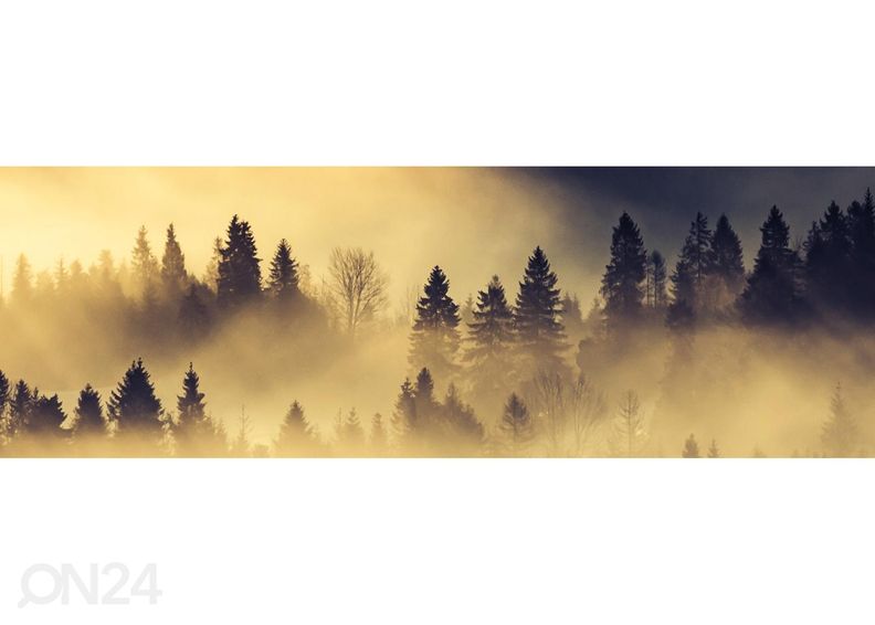 Кухонный фартук Forest landscape in morning 180x60 см увеличить