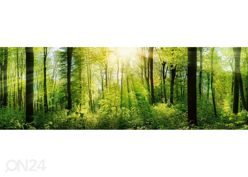 Кухонный фартук Fresh green trees 180x60 см увеличить