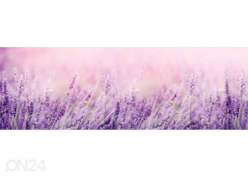 Кухонный фартук Lavender 180x60 см увеличить