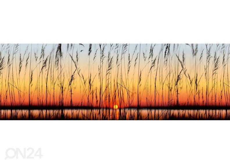 Кухонный фартук Reed 180x60 см увеличить