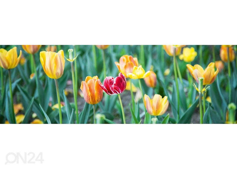 Кухонный фартук Spring flowers 180x60 см увеличить