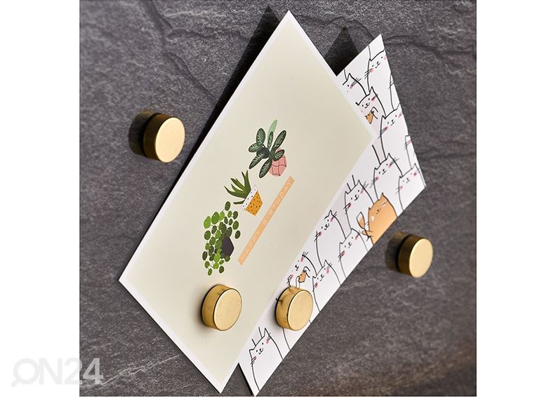 Магниты 4 шт. увеличить